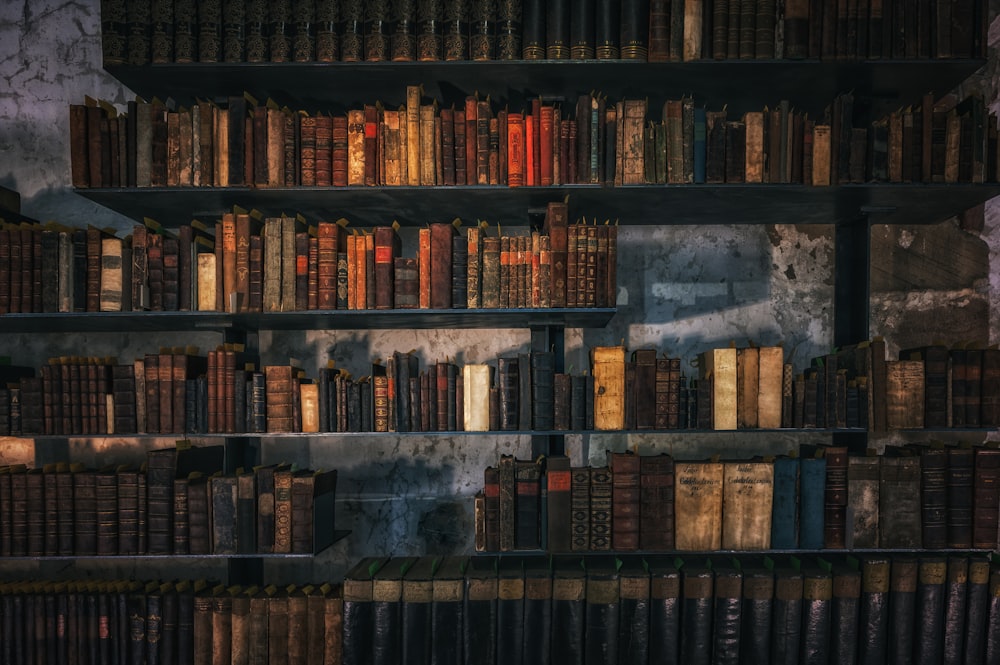 brown wooden book shelves with books