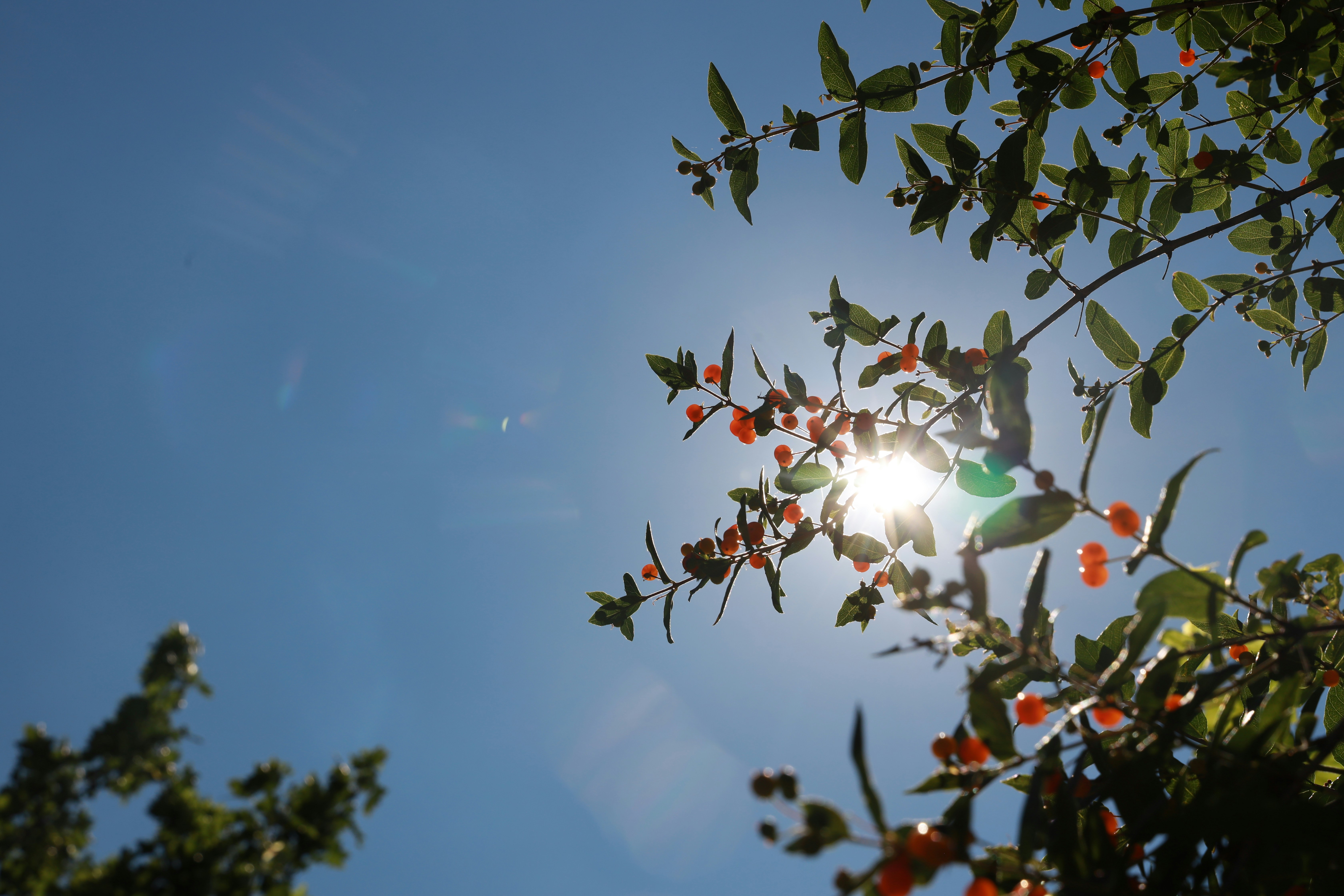 Photo by richardworks