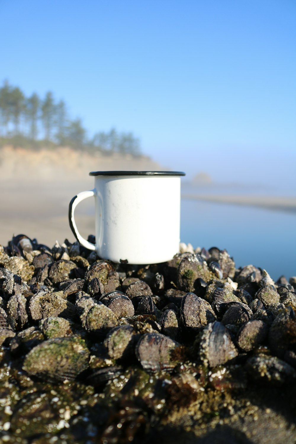 white ceramic mug on gray stones near body of water during daytime