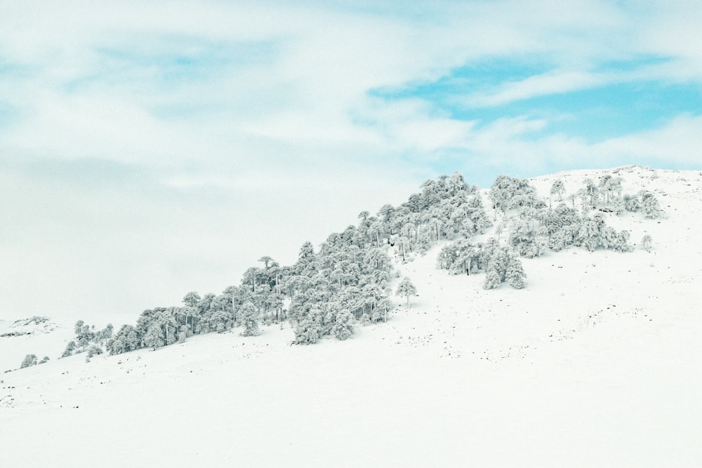 snow covered mountain under cloudy sky during daytime