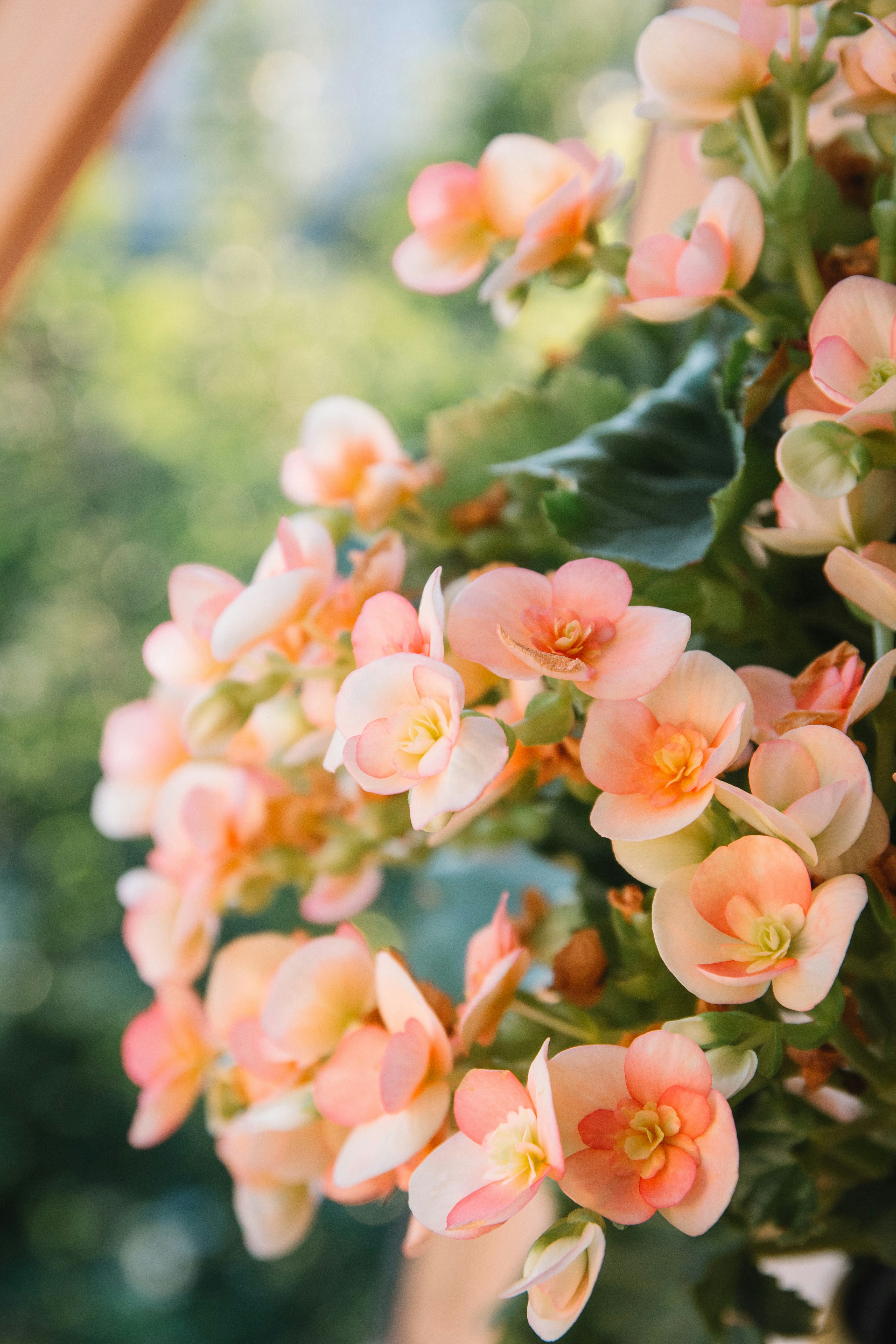 Photo by onmywayhome