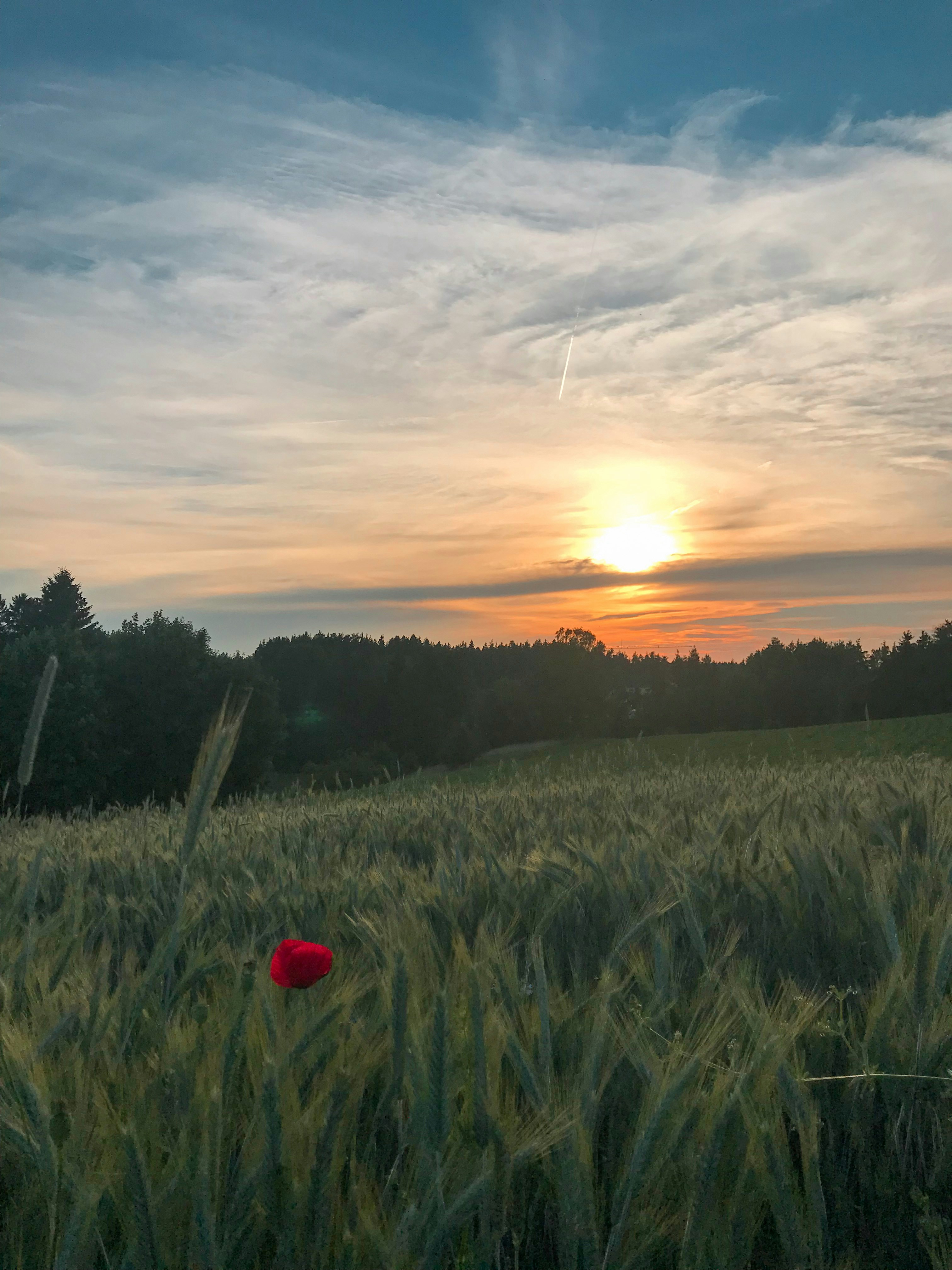 Photo by nathanael_schmer