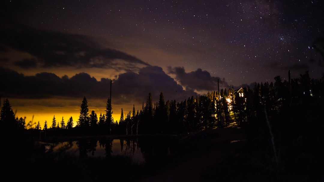 silhouette of trees near body of water during night time