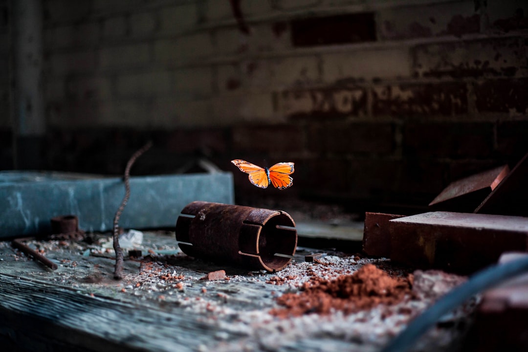 yellow flower on brown wooden bucket