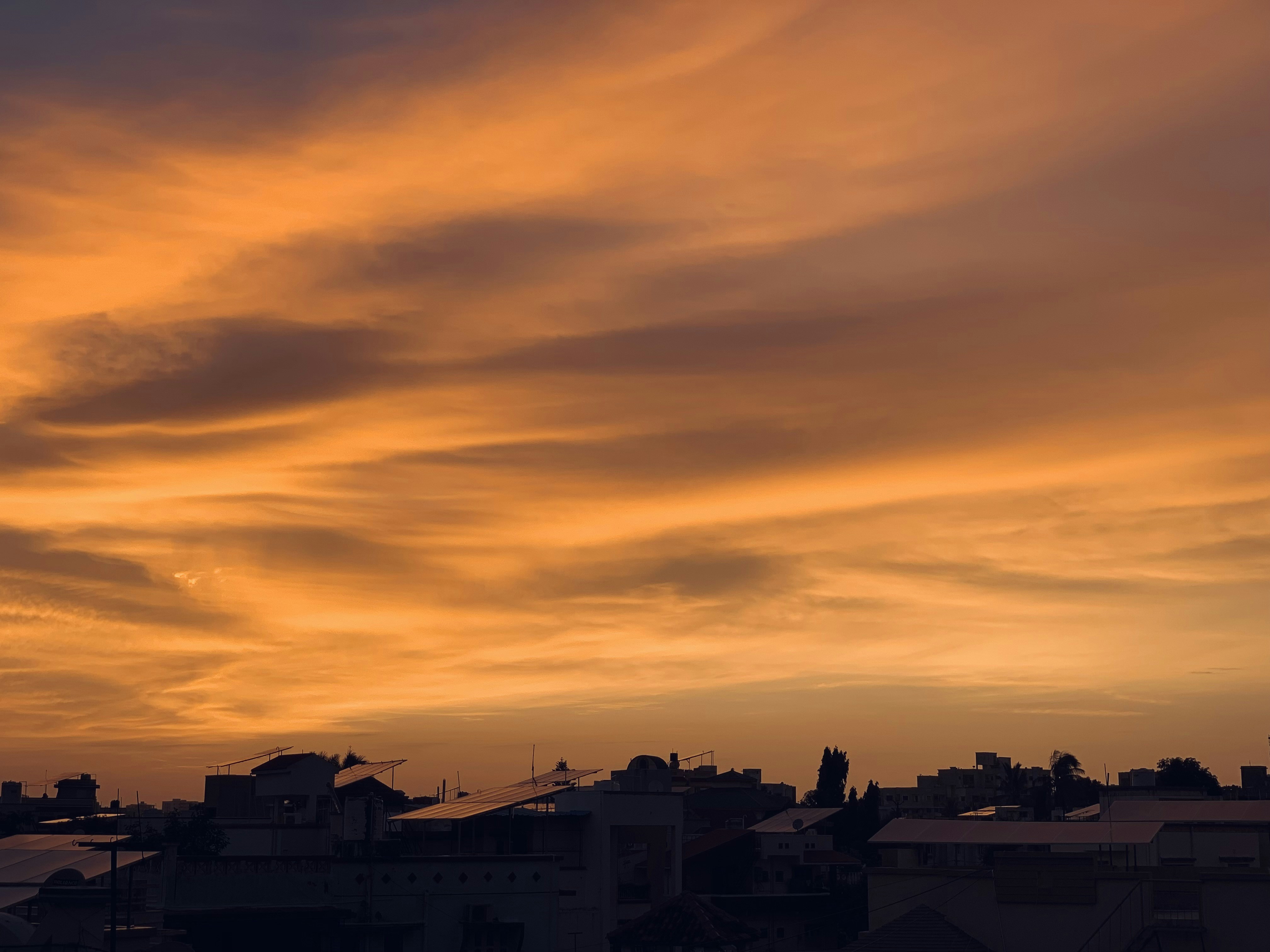 Photo by roshanprajapati