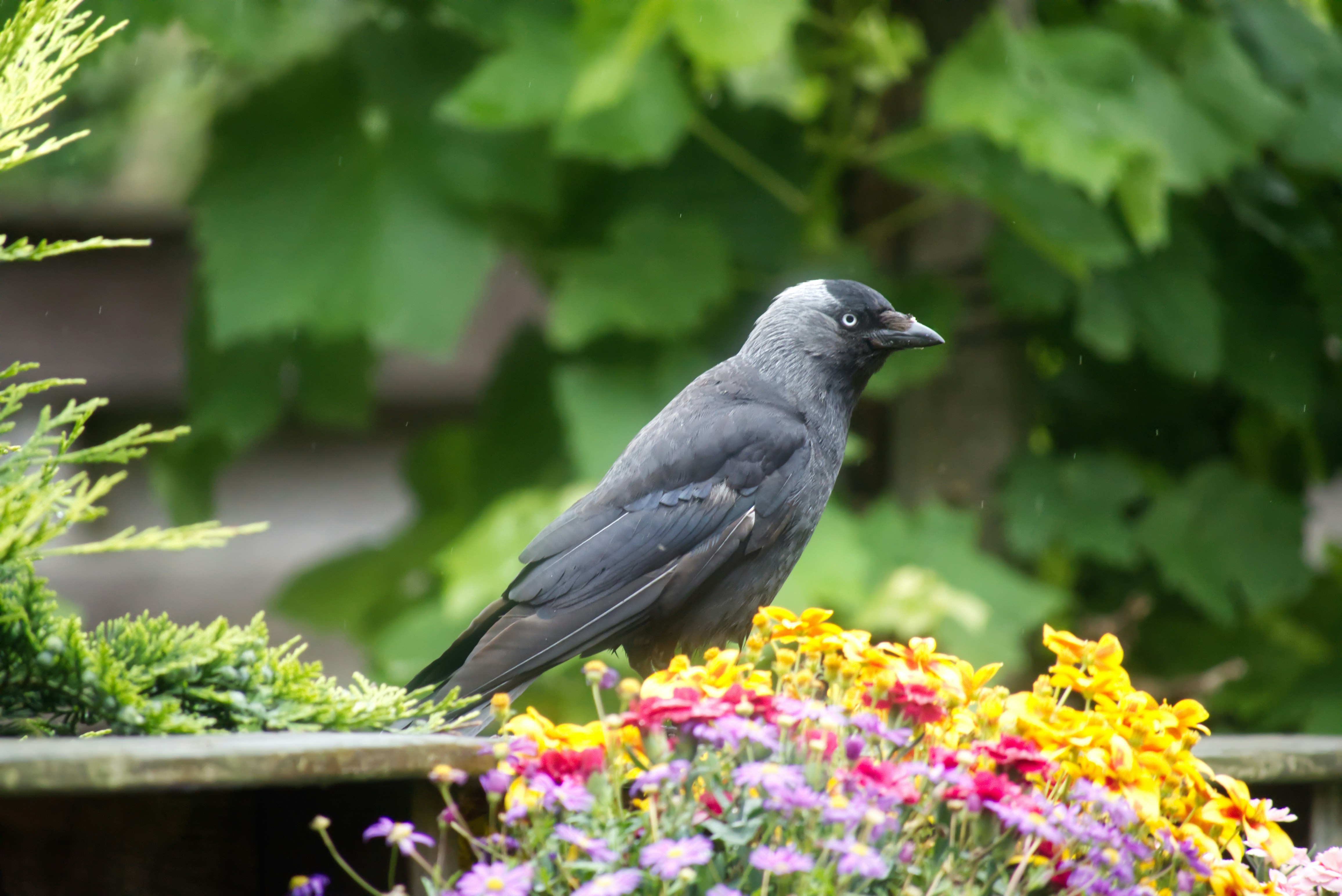 Afbeelding van Uithoorn