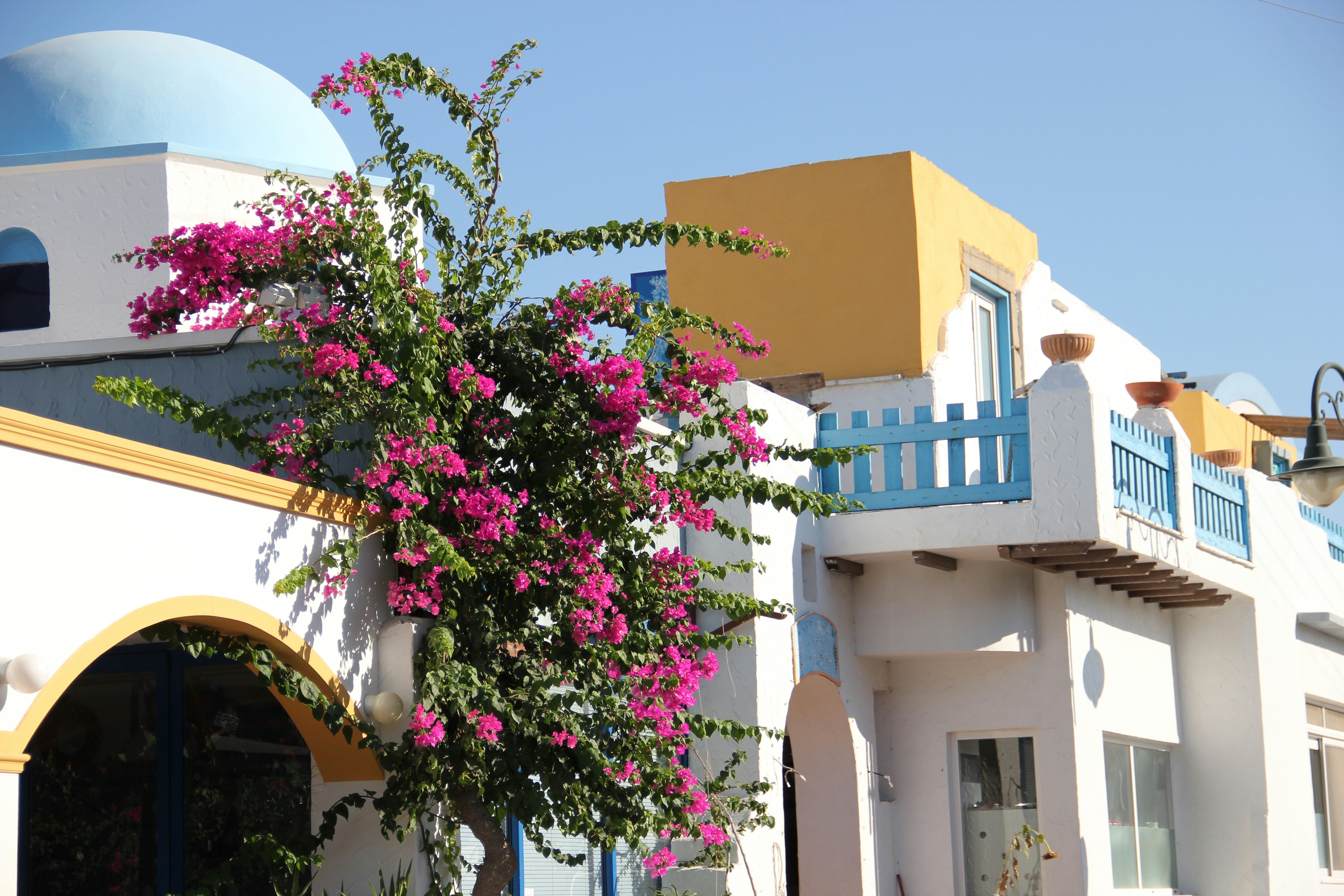 Photo by shalevcohen