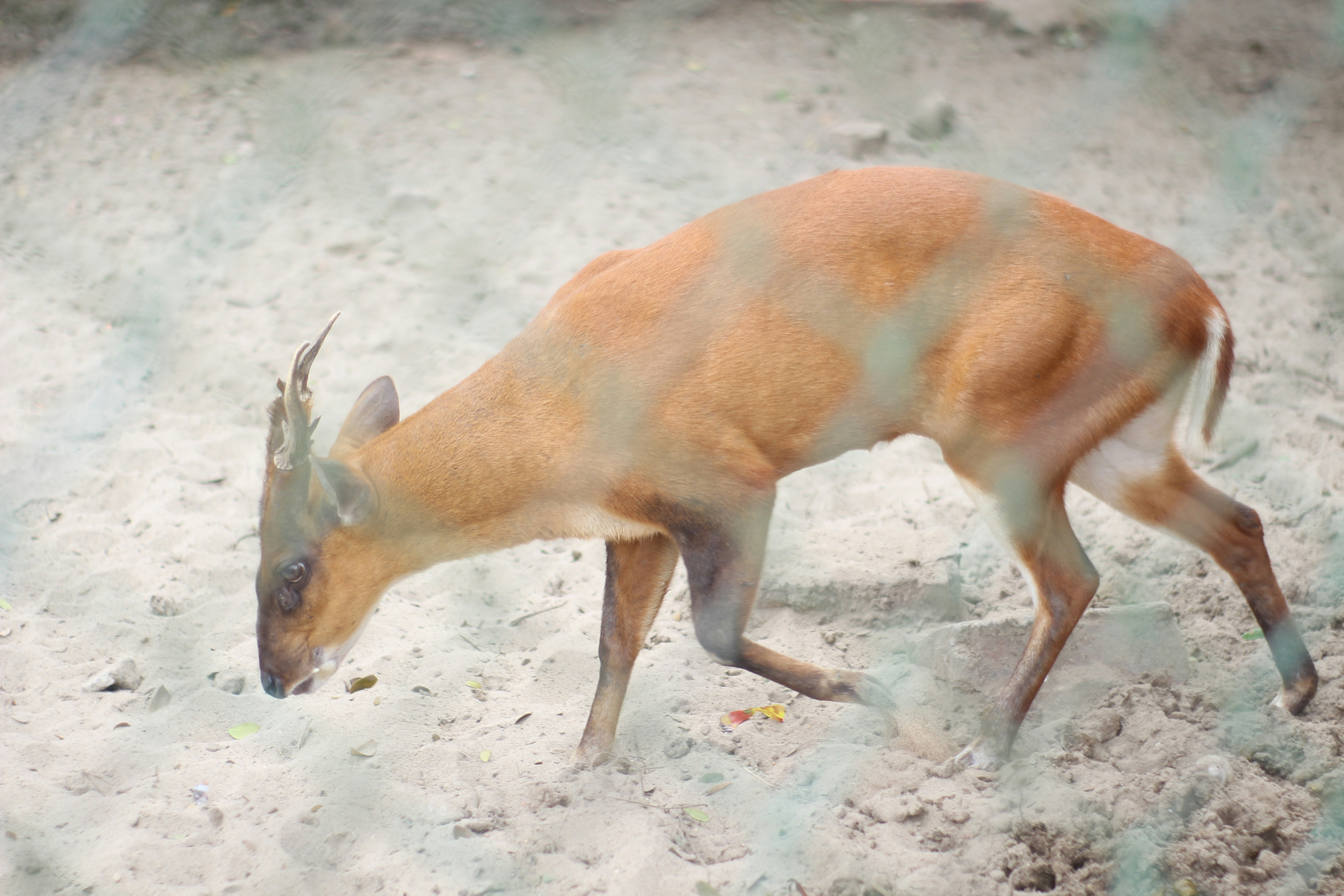 أنواع الطاقة المتجددة