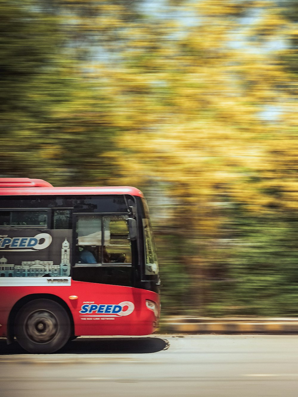 red and white bus on road during daytime