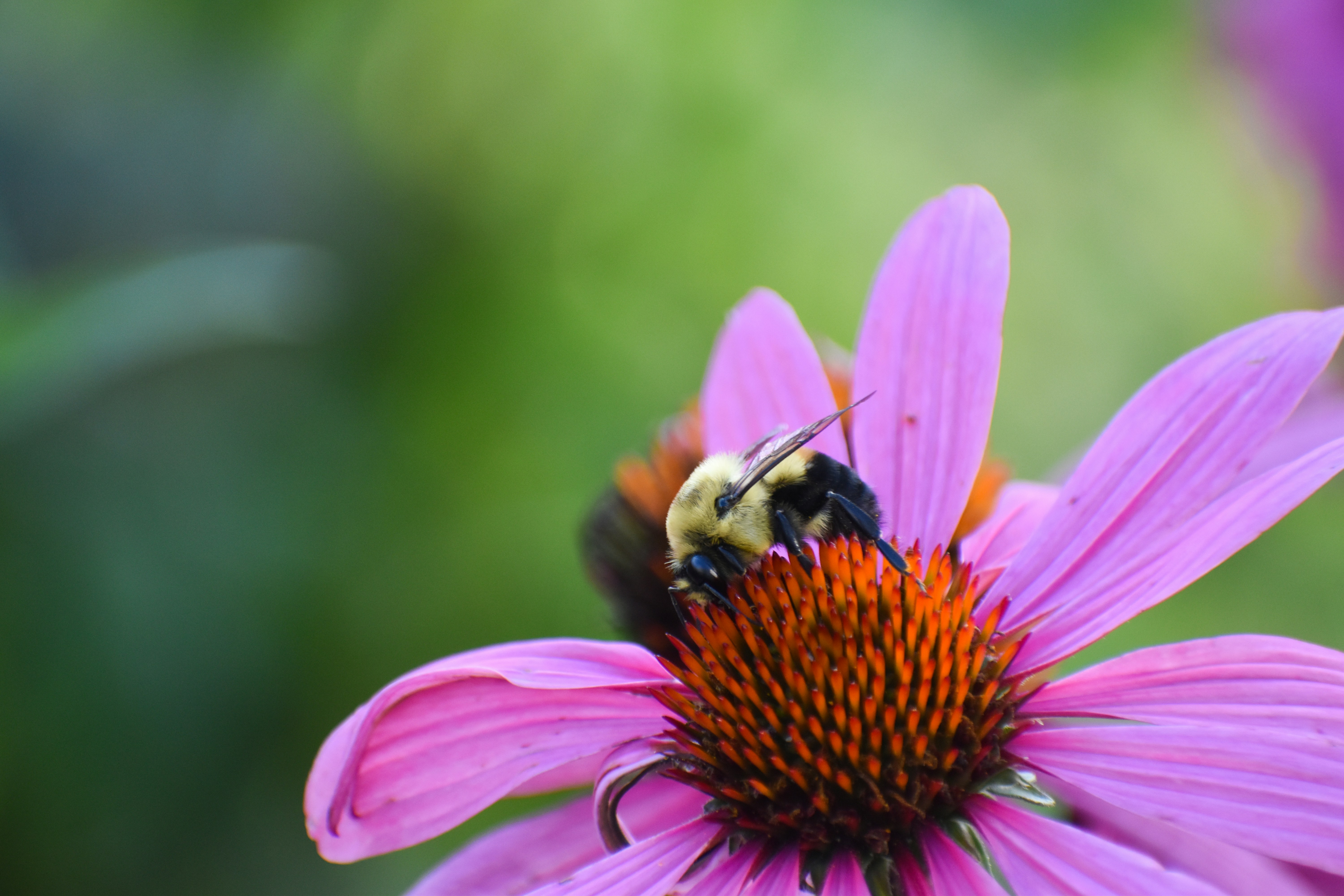 Photo by marceleaton