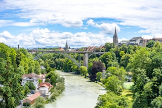 green trees near river under blue sky during daytime