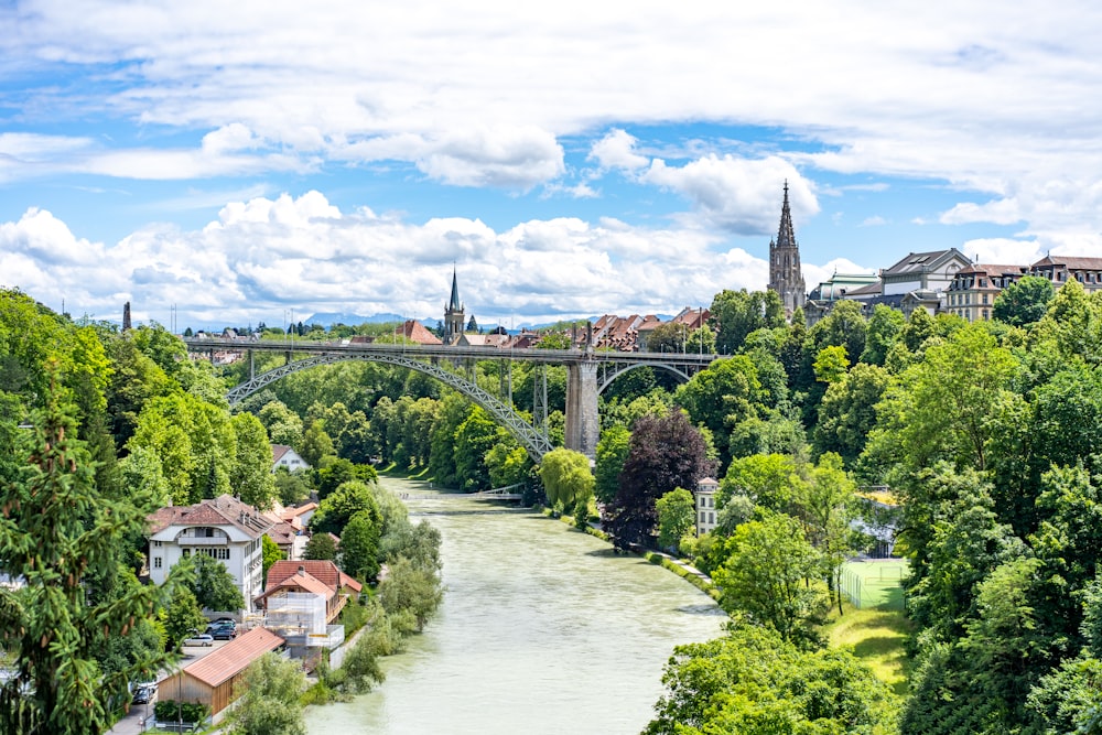 green trees near river under blue sky during daytime