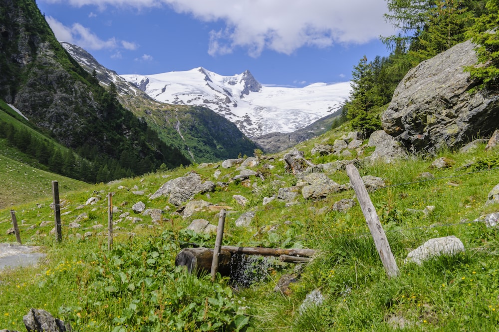 green grass field near snow covered mountain under blue sky during daytime