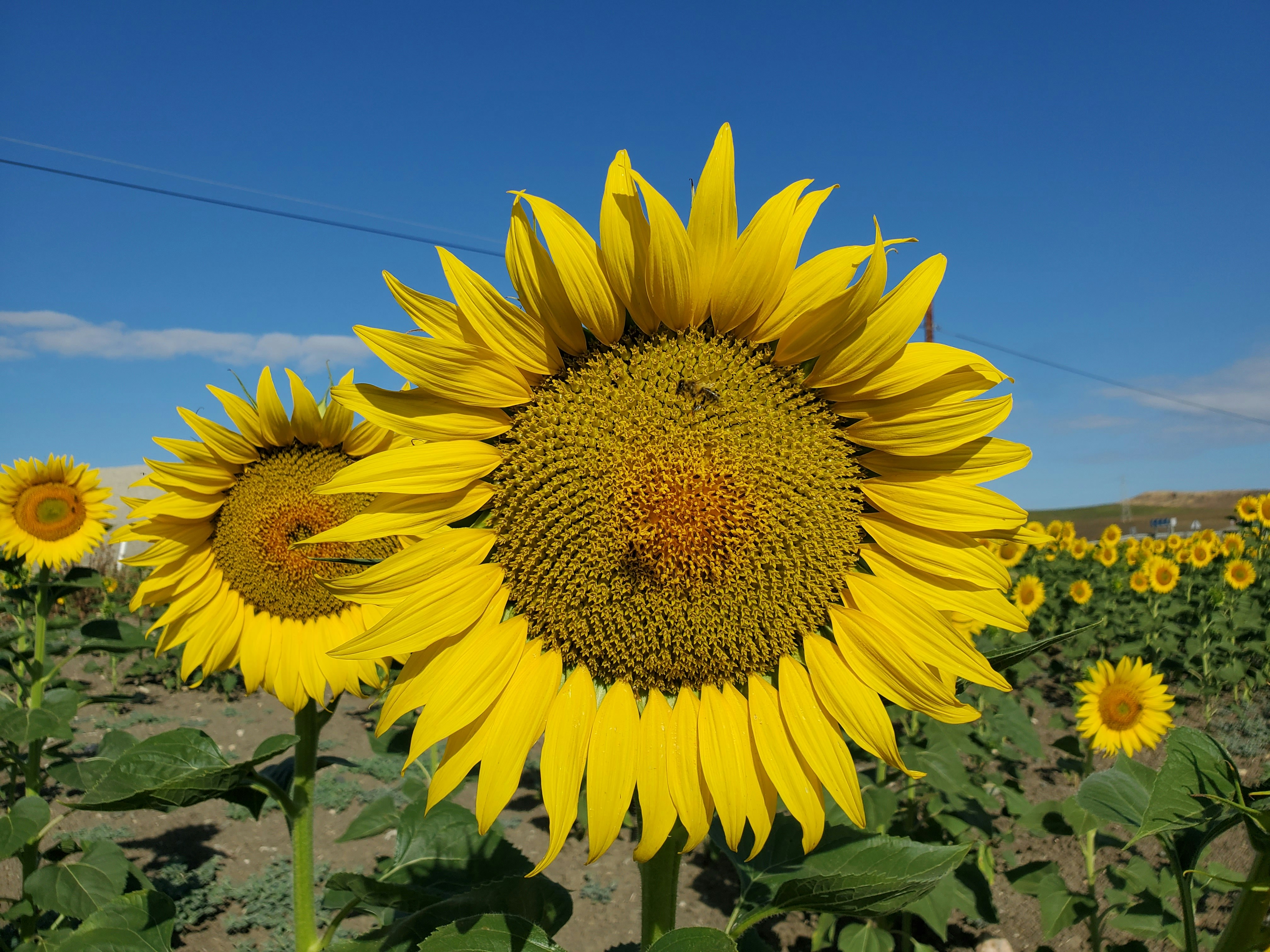 Photo by find_something_pretty_everyday