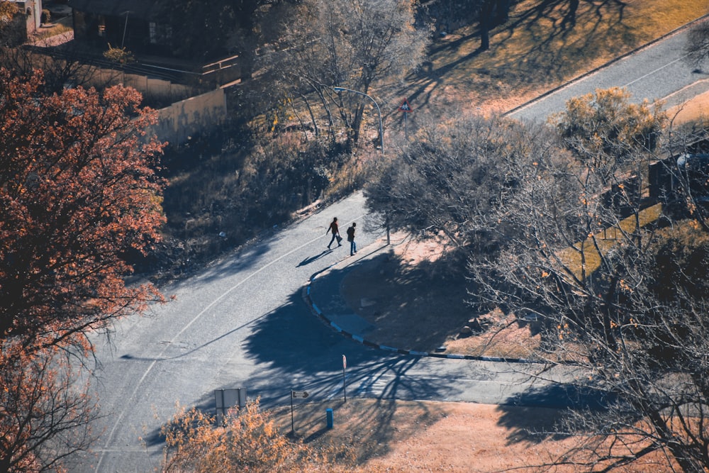 昼間、道路を自転車で走っている人