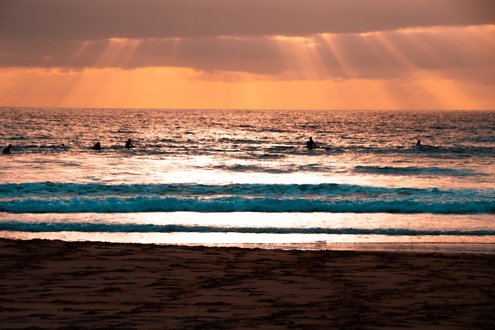 people surfing on sea waves during daytime