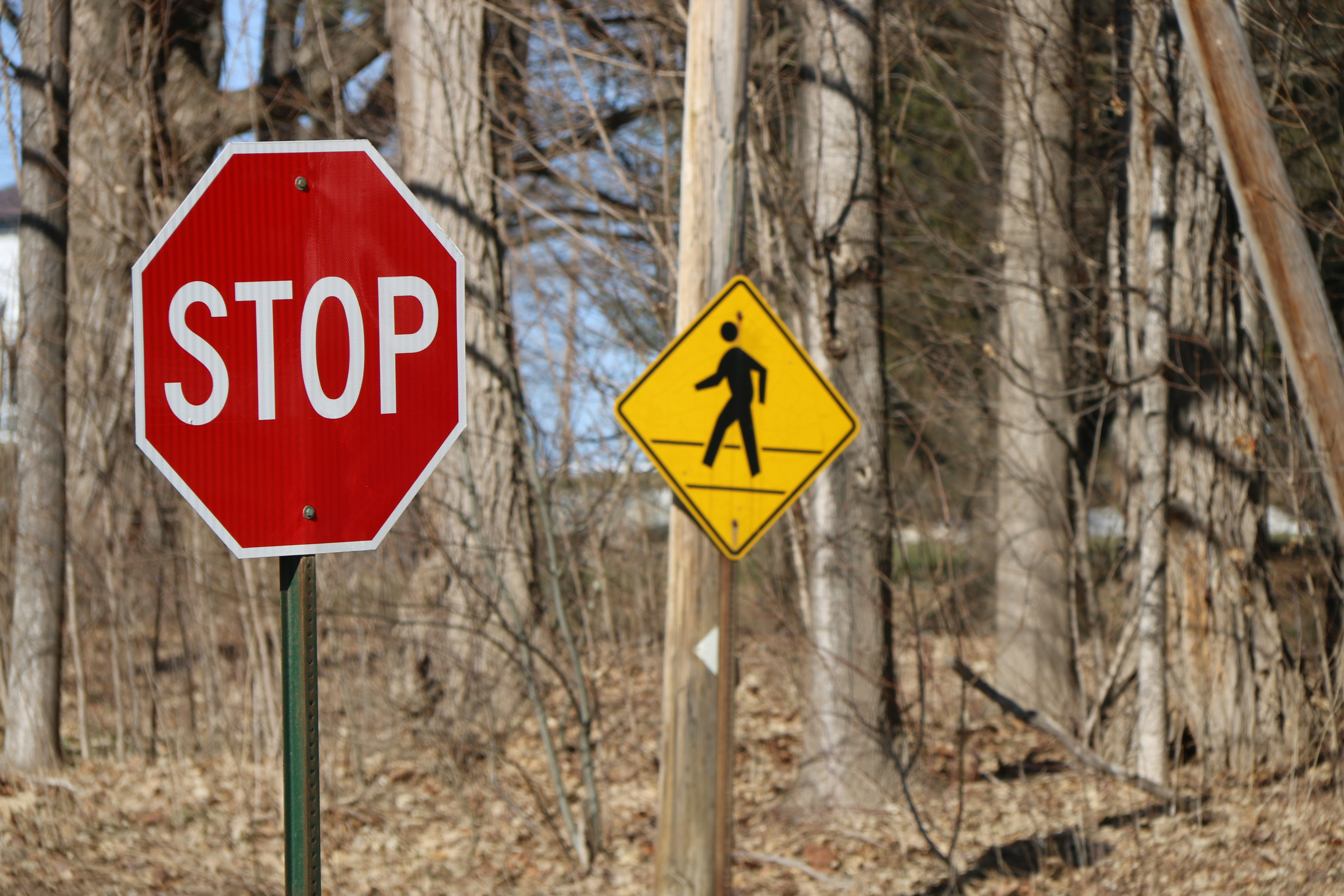 Photo by stevelieman