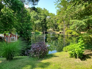 A serene backyard pond surrounded by native plants and a small wooden bridge crossing over it.