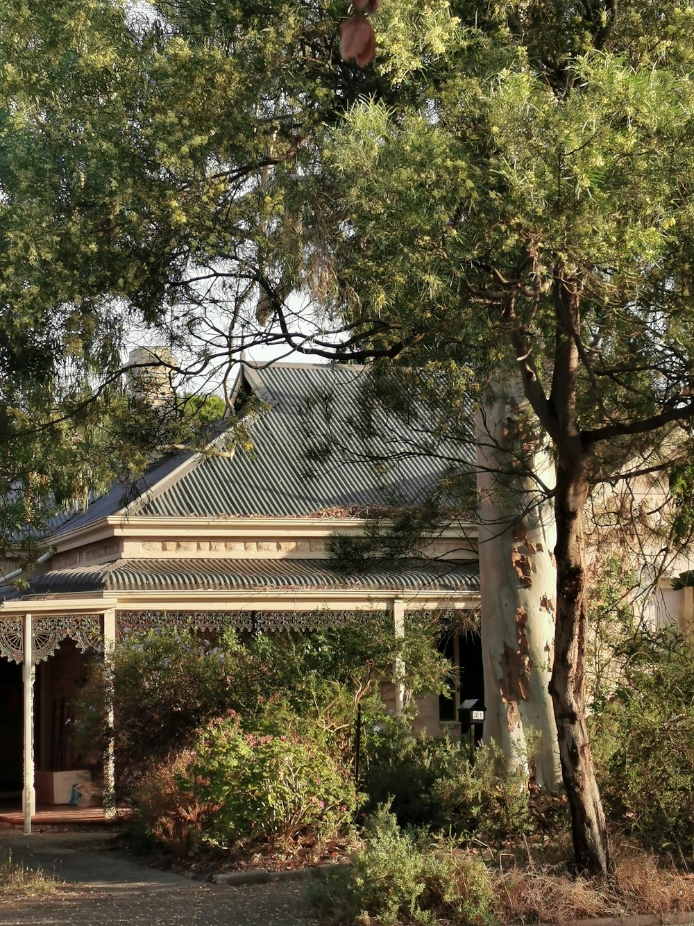 green trees near white and brown house during daytime