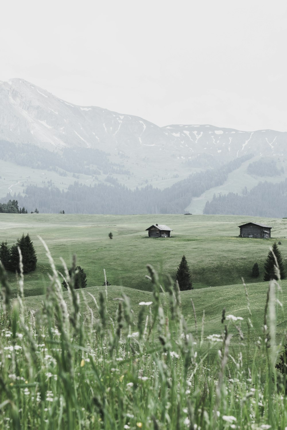 green grass field near mountain during daytime