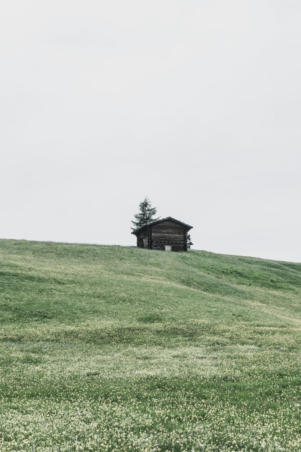 brown wooden house on green grass field under white sky during daytime