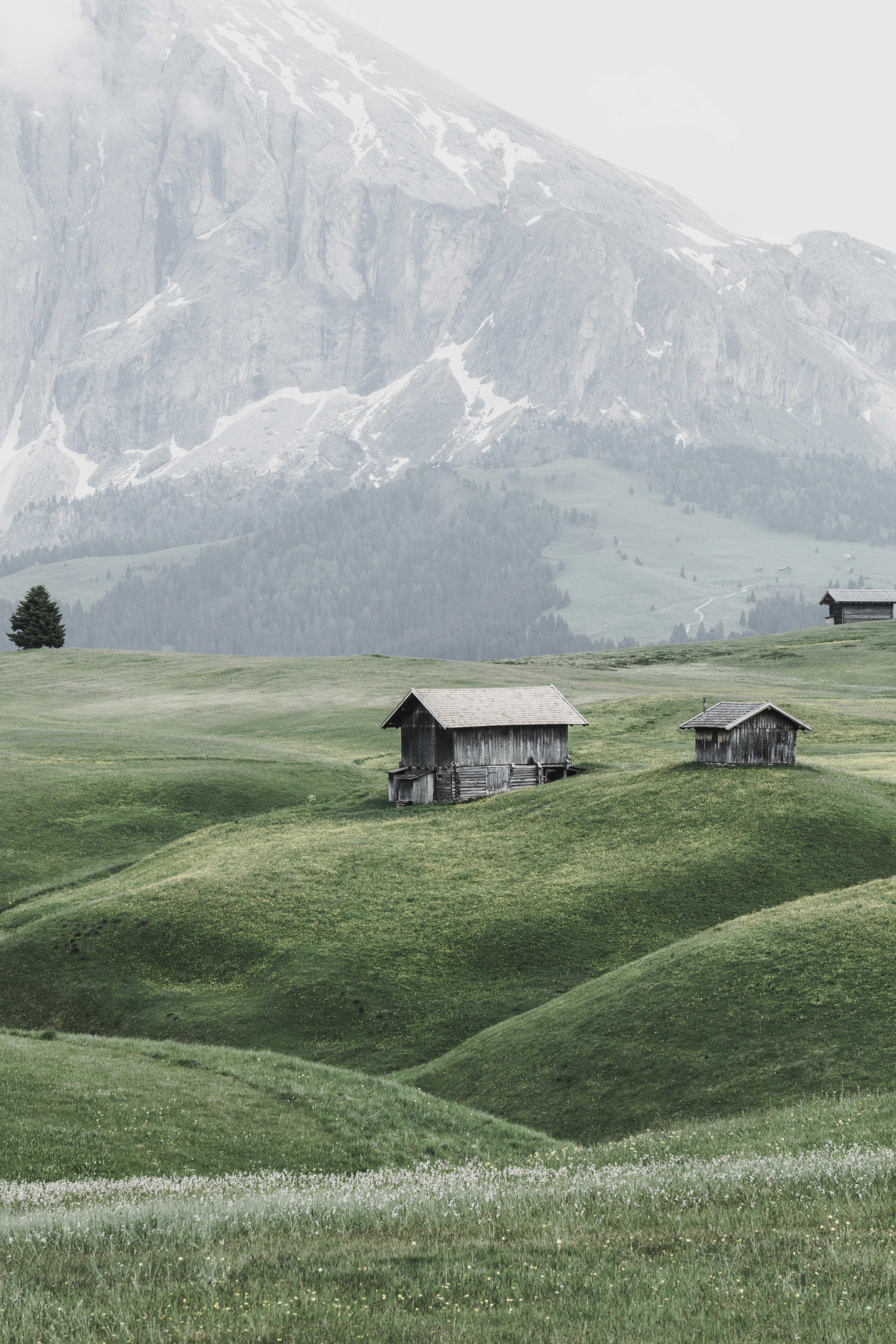 Photo by theverticalstory