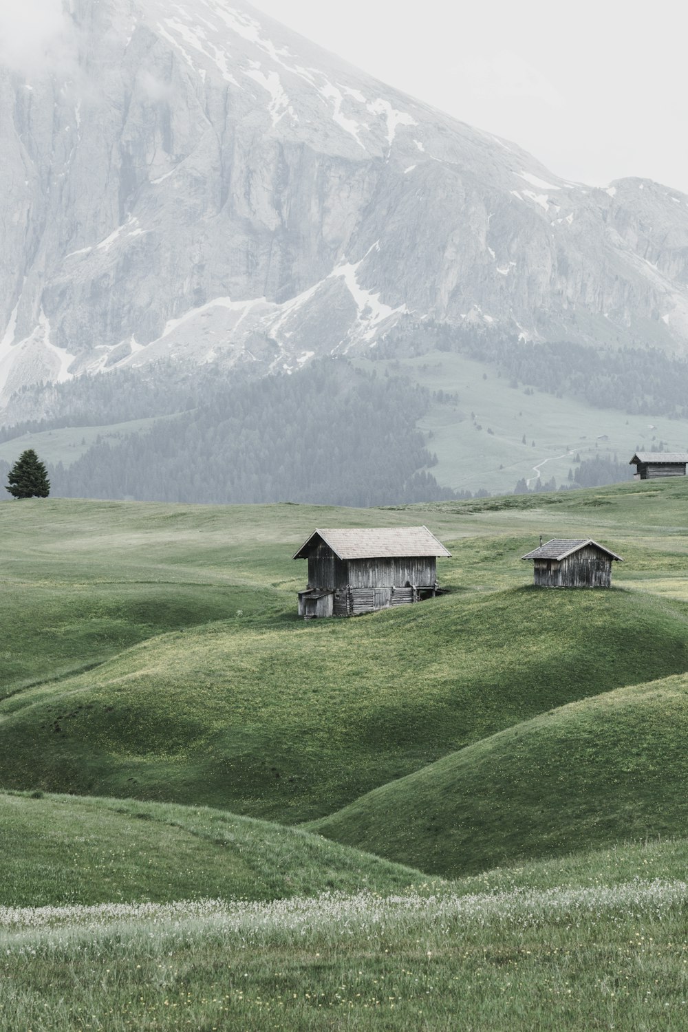 maison en bois marron sur un champ d’herbe verte près d’une montagne enneigée pendant la journée