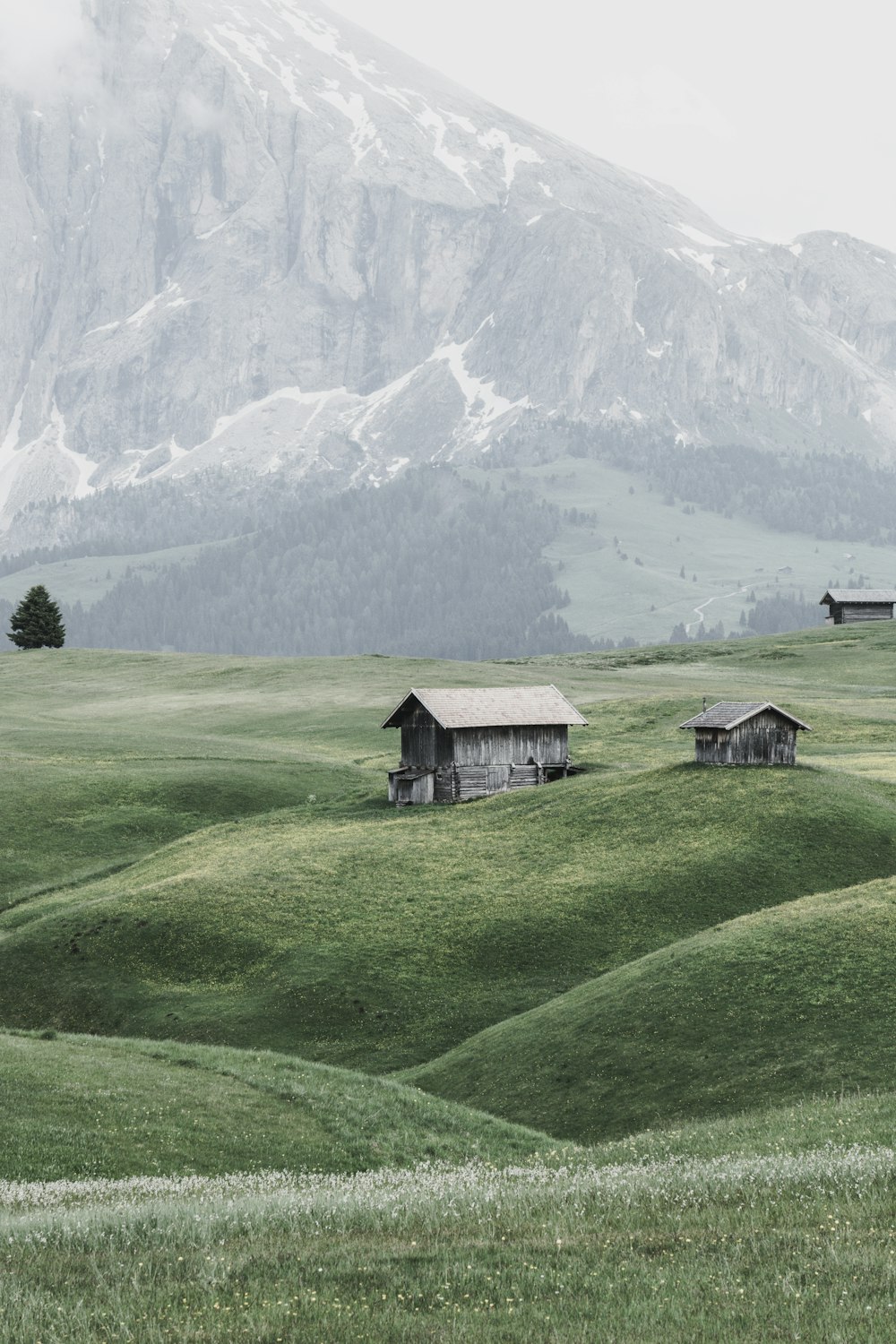 brown wooden house on green grass field near snow covered mountain during daytime