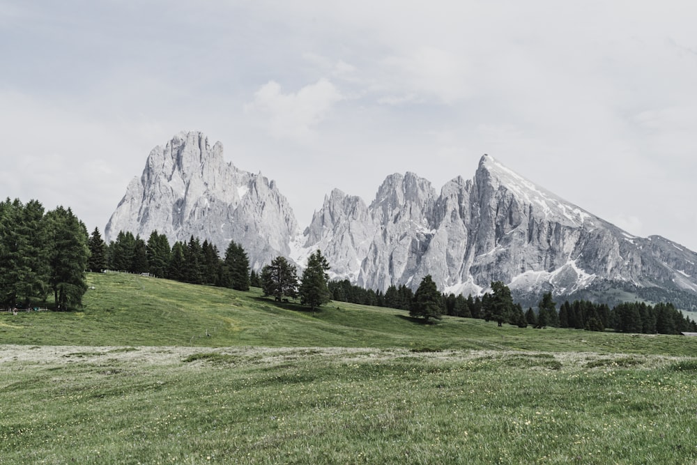 green grass field near gray rocky mountain under white cloudy sky during daytime