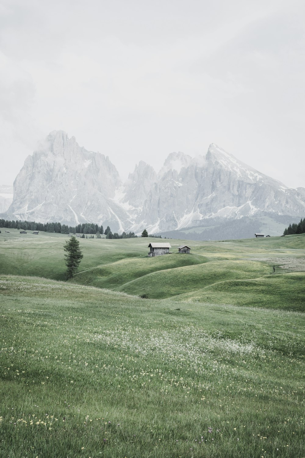 green grass field near snow covered mountain during daytime