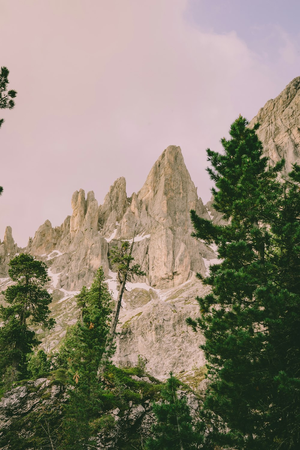 green trees near rocky mountain during daytime