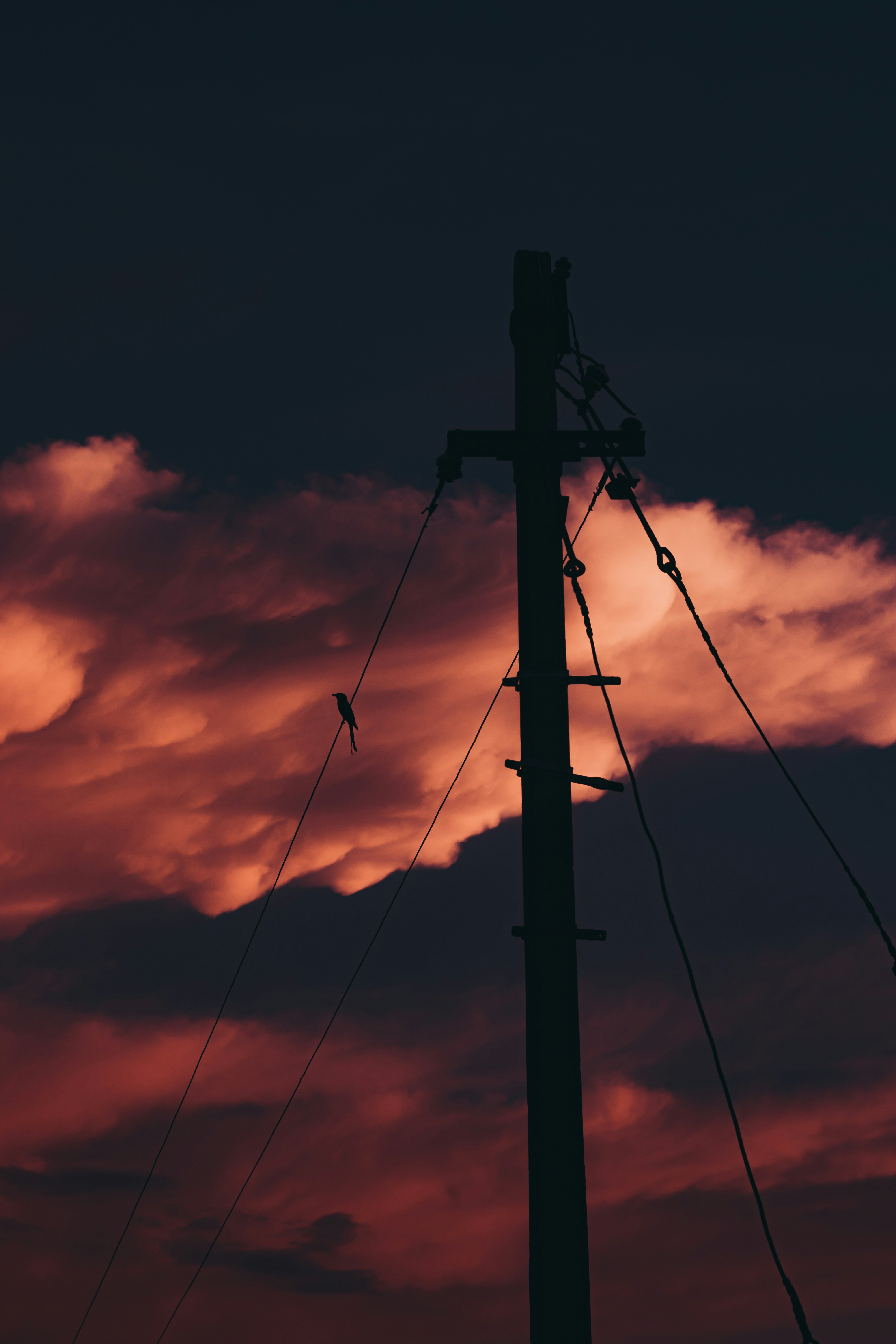 Photo by dhilipantony