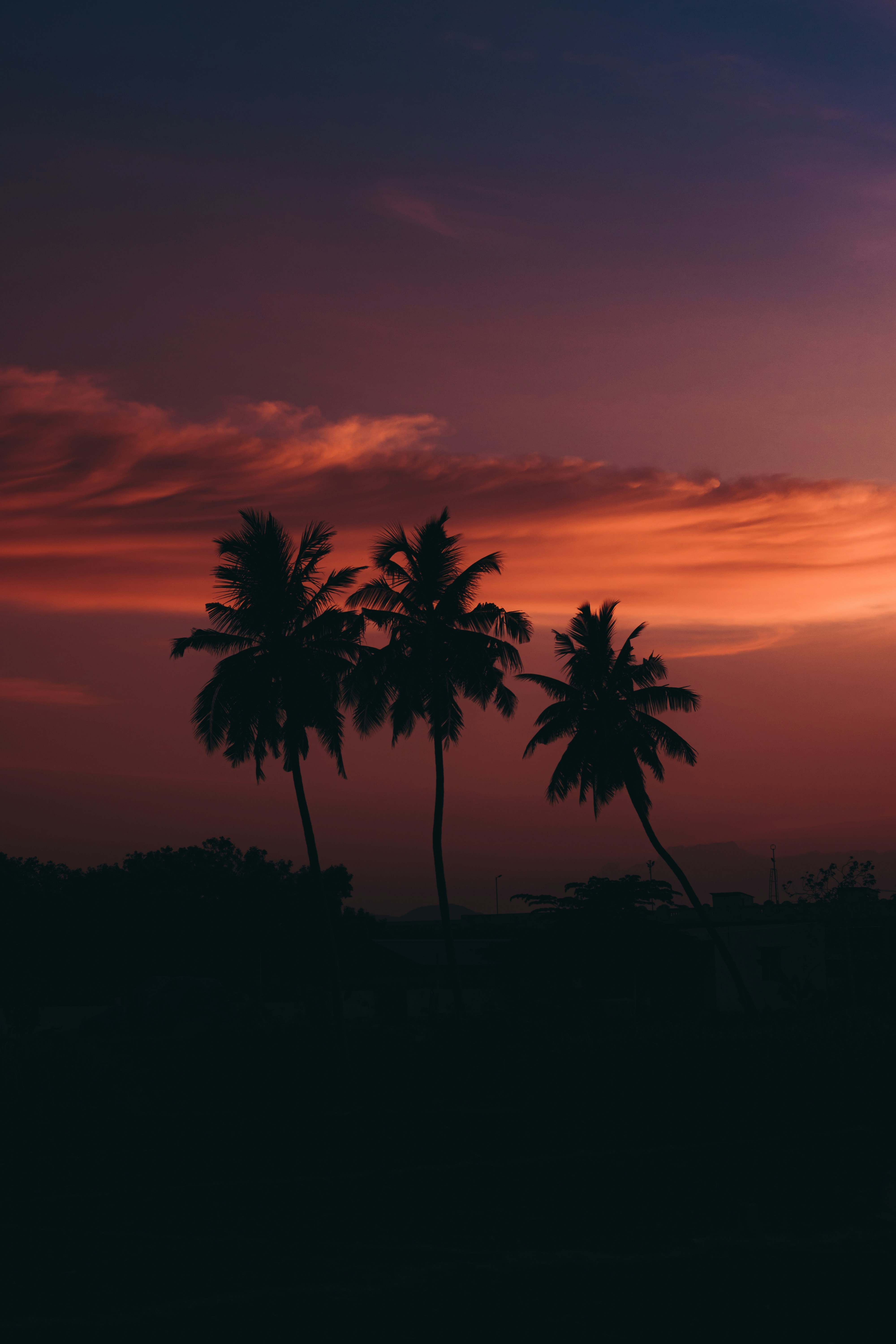 Photo by dhilipantony