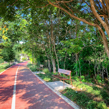 Quiet walking paths lined with trees and benches for relaxation.
