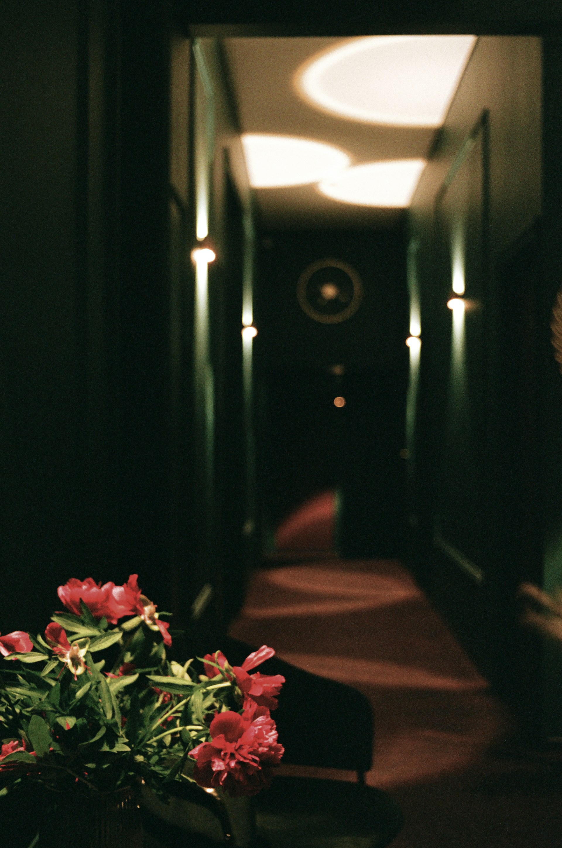 A softly lit hallway with tasteful floral arrangements, reflecting the calm atmosphere of Funérarium Malpeyre.