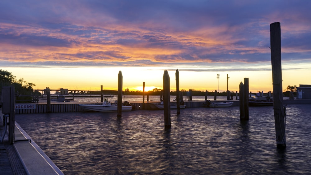 silhouette of people on dock during sunset