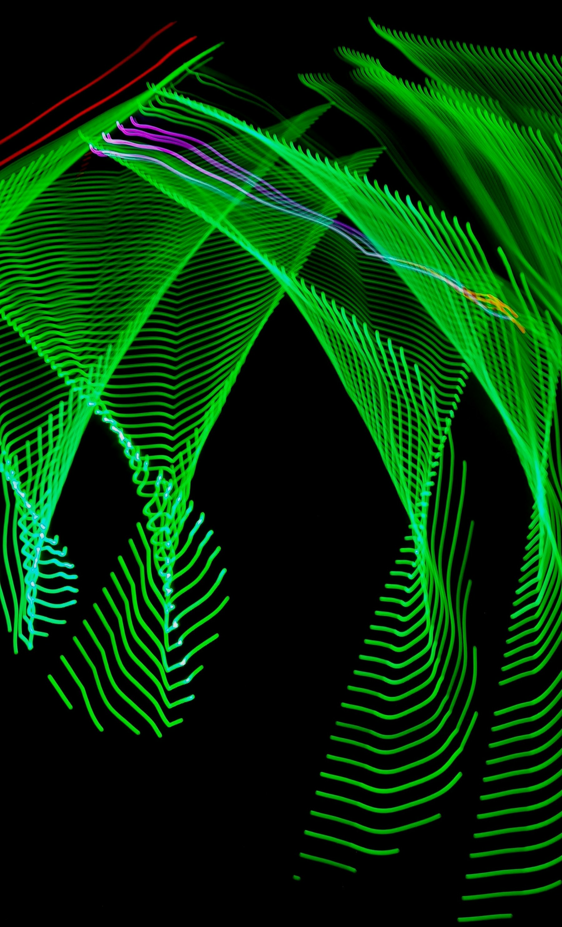 Photo by priyakaragi76