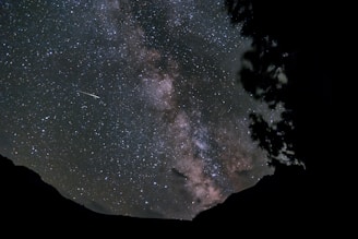 A starry night sky, perfect for UFO watching.