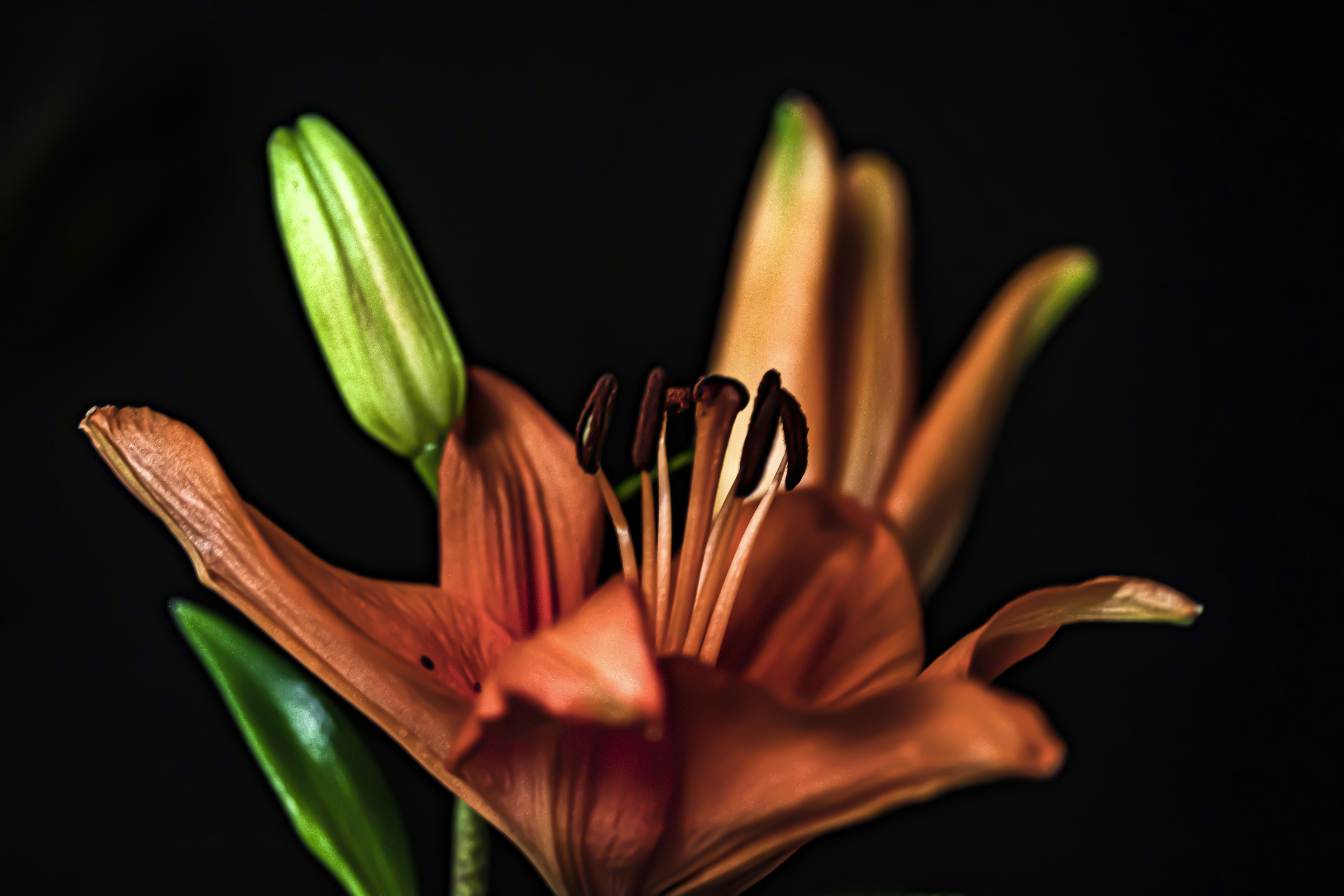 Kingston upon Hull cityscape