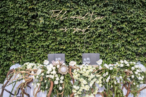 A sleek, modern event backdrop with geometric shapes and lush greenery accents.