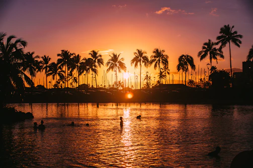 A peaceful sunset view over Roatan’s waters, with silhouettes of divers preparing for an open water dive.