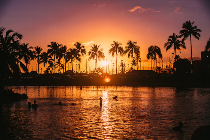 A Hawaiian sunset through the palms