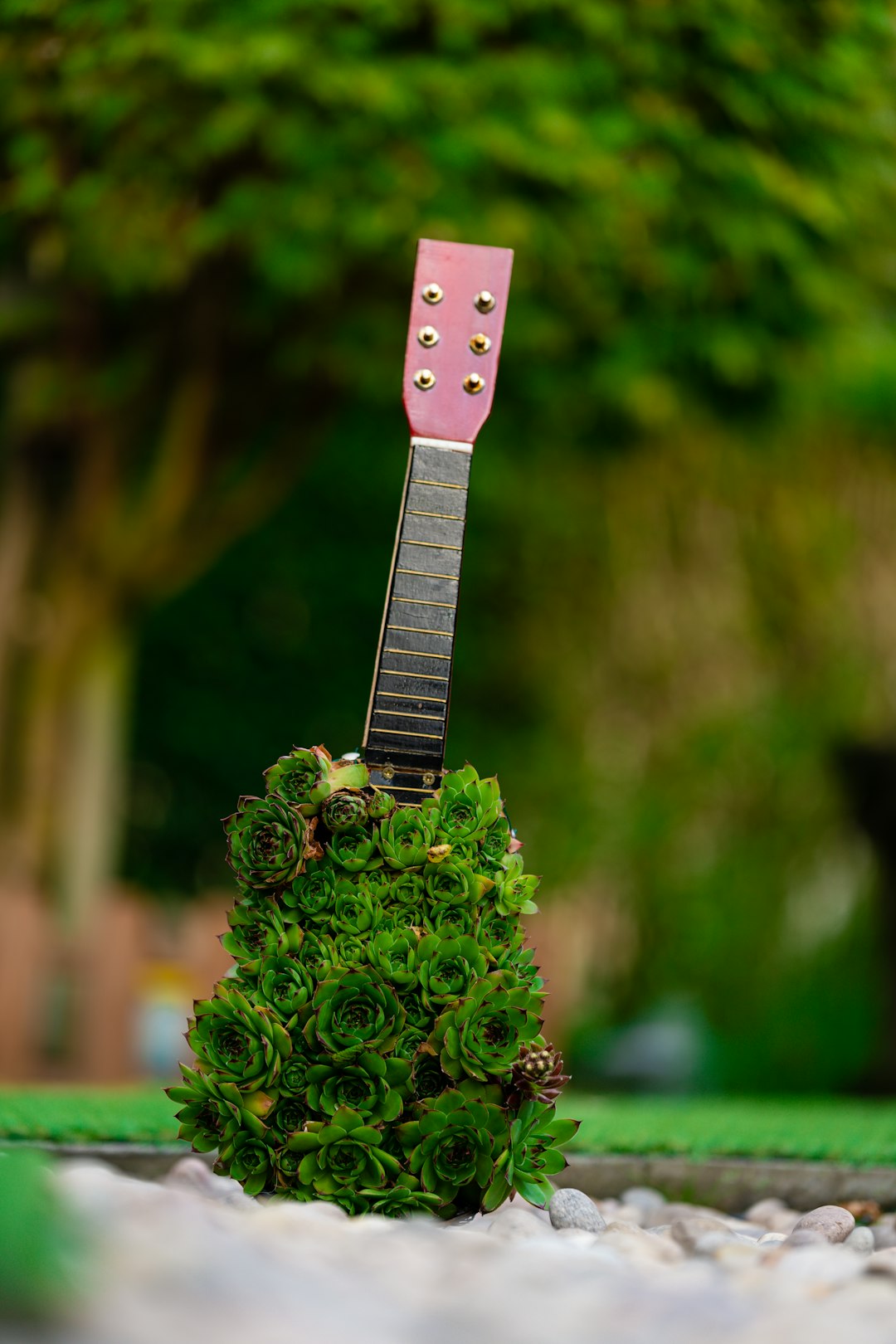 white and black guitar pick on green plant
