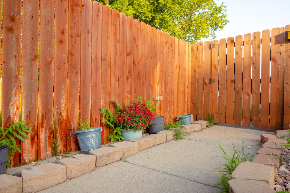 potted plants beside brown wooden fence