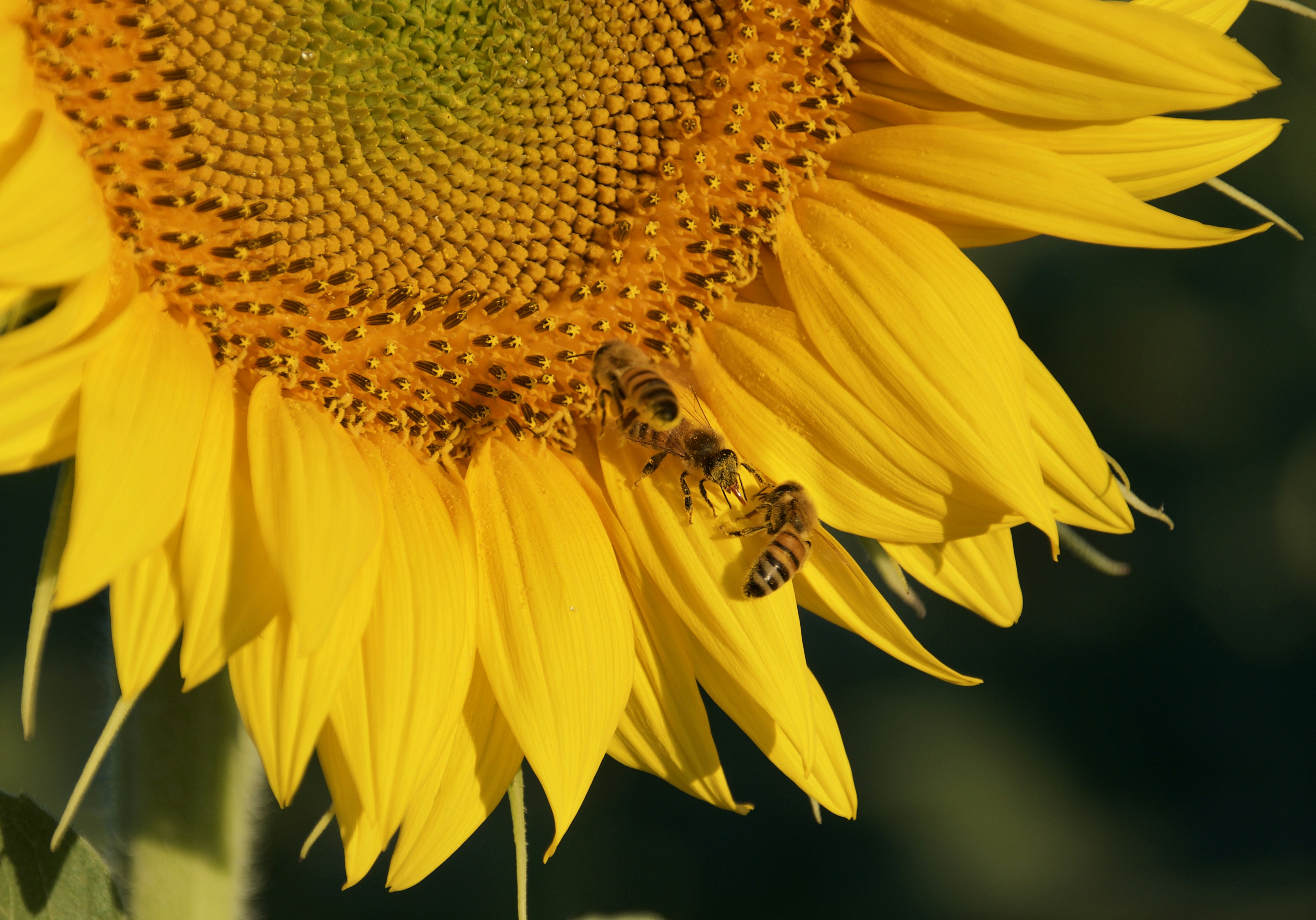 Photo by mariobeducci