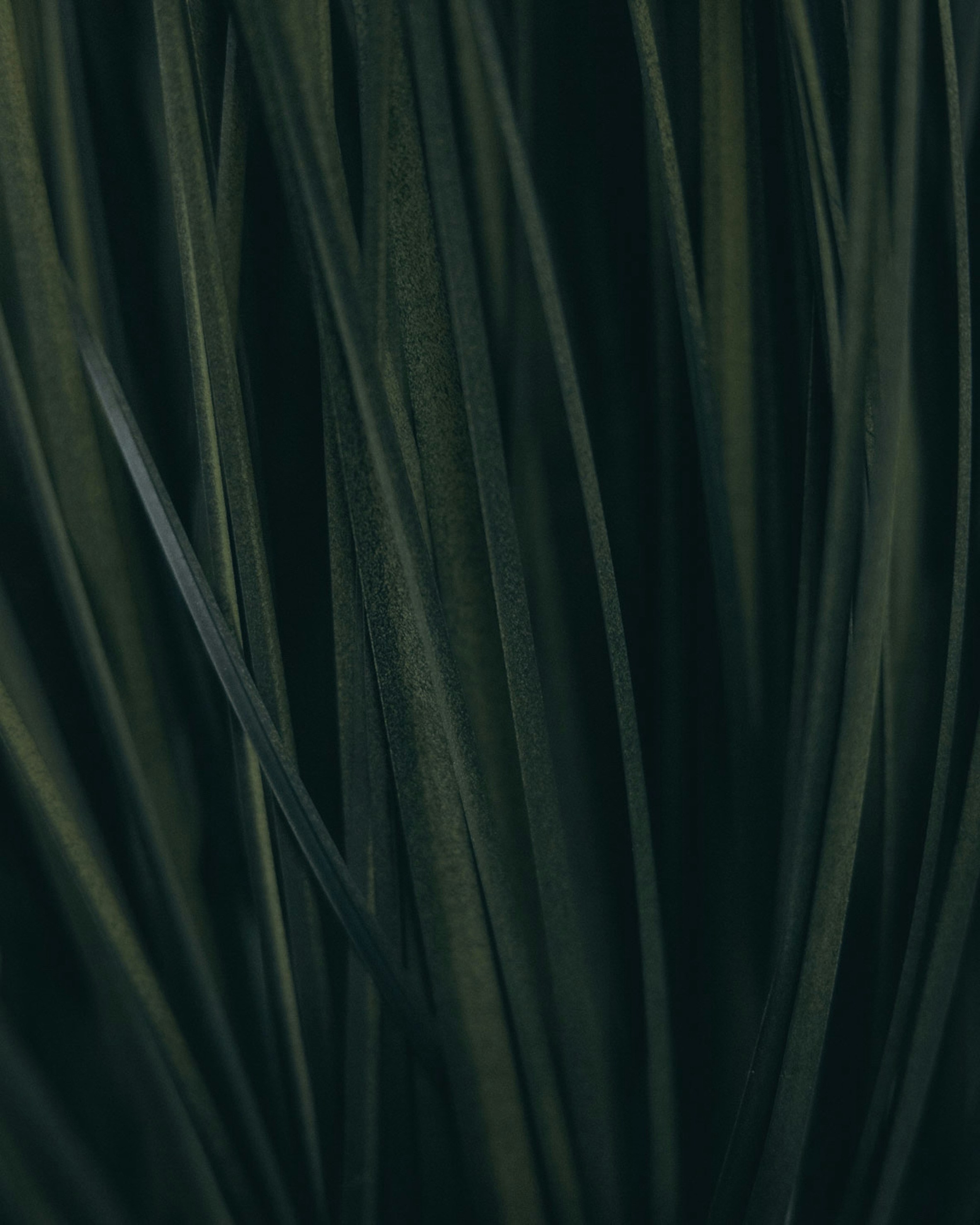 Photo by lazrodriguez__