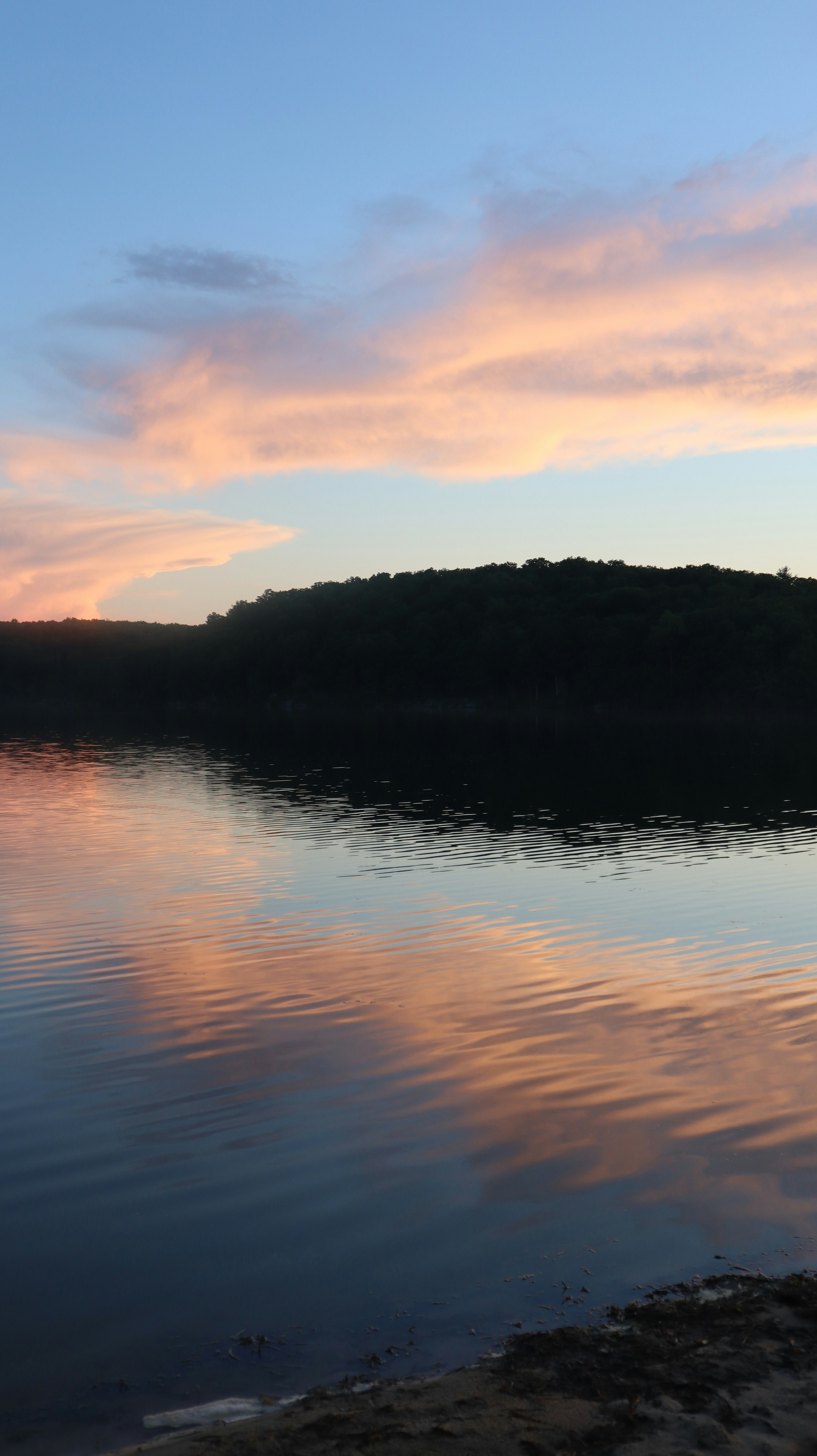 Rosie Arasa Rosiearasa Unsplash Photo Community