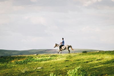 Mon histoire, dans le milieu du cheval et de l'élevage