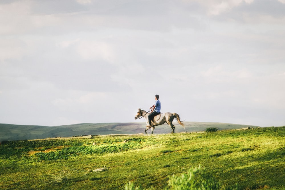 man riding horse on green grass field during daytime