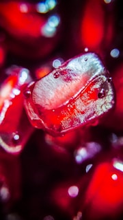 A close-up of pomegranate seeds glistening in natural light.
